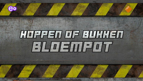 Checkpoint | Compilatie